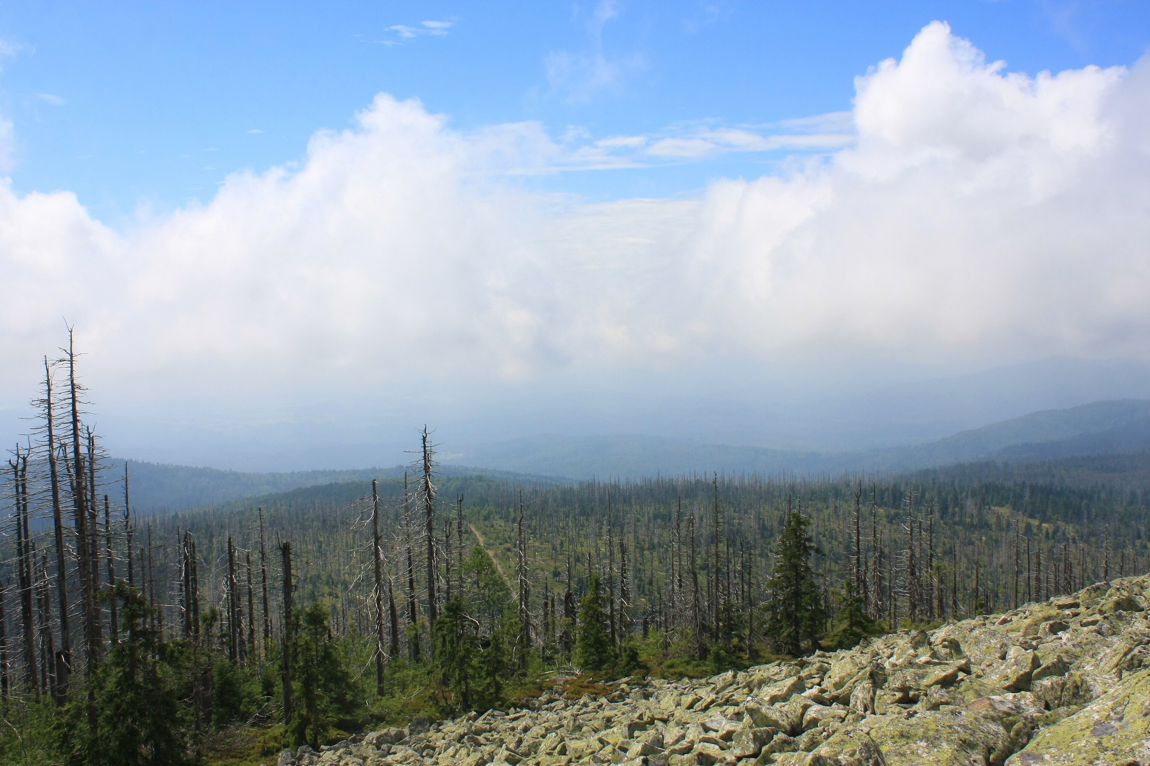 Lusen, Bavarian Forest Nationalpark