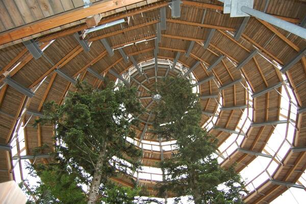 The amazing tree top walk way in the beautiful Bavarian Forest.
