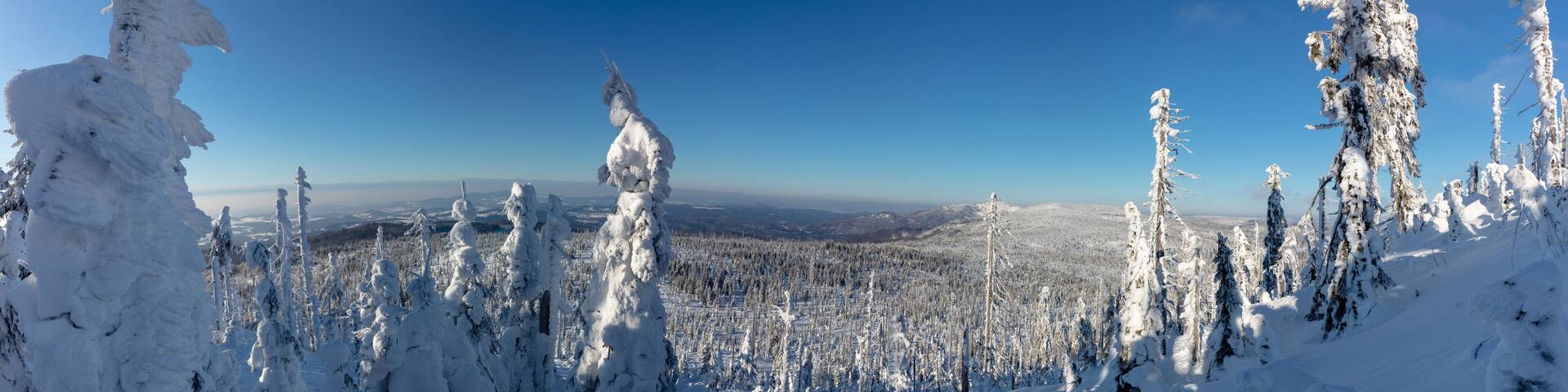 Winter hiking trail panorama covered by snow to Mount Lusen summit in the Bavarian Forrest National Park