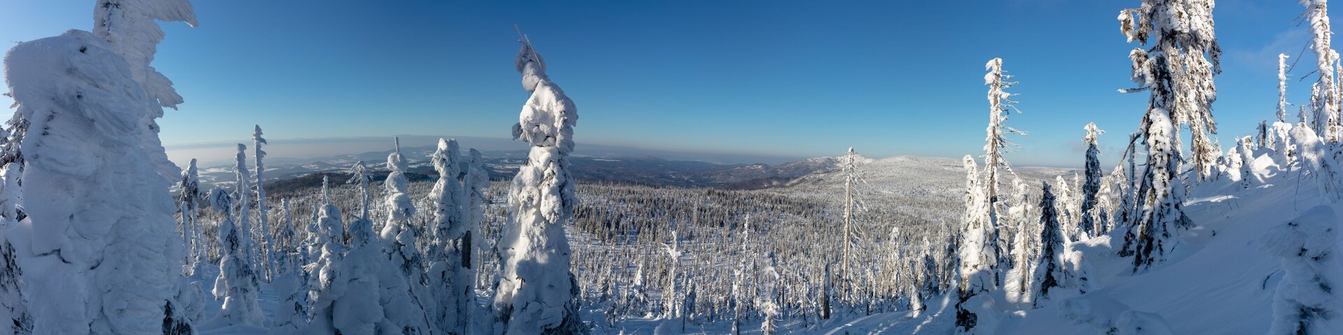 Winter hiking trail panorama covered by snow to Mount Lusen summit in the Bavarian Forrest National Park