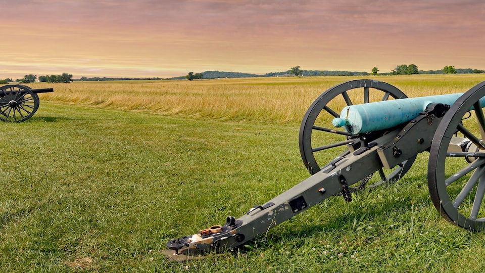 A cannon in a grassy field with a fence in the background.