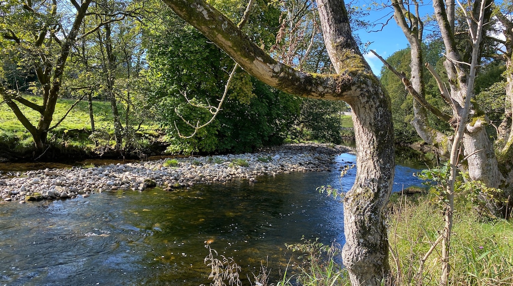 Ein Fluss fließt durch einen Wald, dessen Ufer von Felsen und Bäumen gesäumt sind.