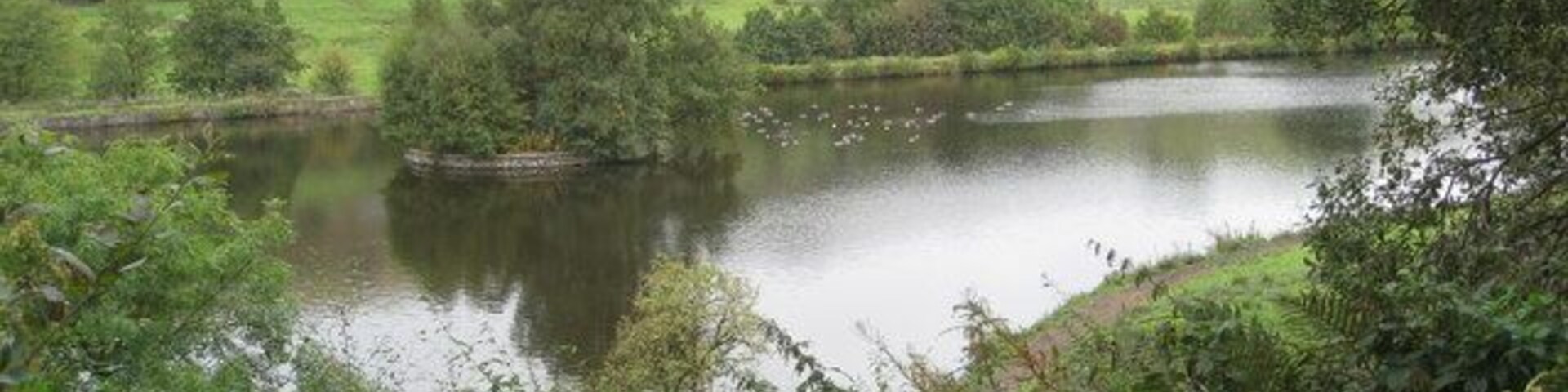 A lake surrounded by lush greenery and rolling hills.