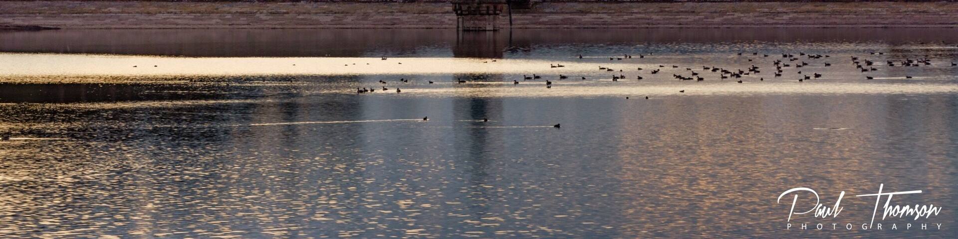 Castle Carrock Reservoir sunset!
Check out the accompanying Vlog on my YouTube channel here
👇👇👇👇👇👇👇👇
https://goo.gl/VJgaiD
Great location with an ancient oak tree and superb views onto the fells this place is great to visit!
#Cumbriaguide #Cumbria #uk #CastleCarrock #srbphotographic #3leggedthing
#hiking
#uk