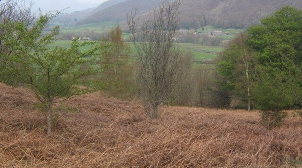 Above Lowick Green The ground soon opens up on Lowick Common, an attractive area with fine views on clear days. The road to Coniston can be seen in the Crake Valley with Bridgefield beyond.