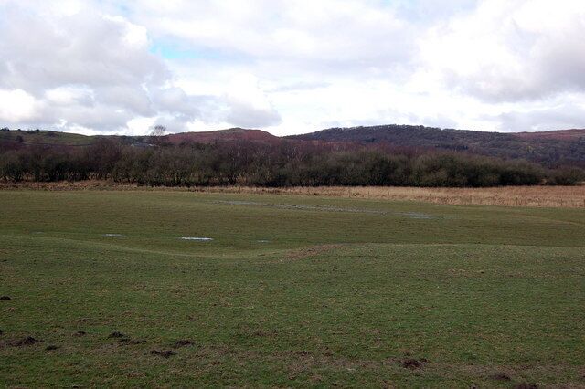 A grassy field with a forested hill in the background.