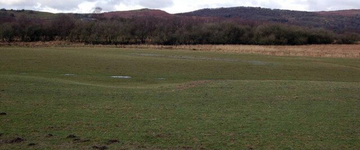 A grassy field with a forested hill in the background.