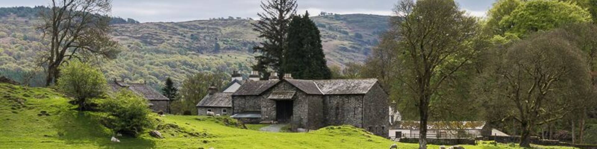 A green field with sheep grazing, a stone building, and trees in a rural landscape.