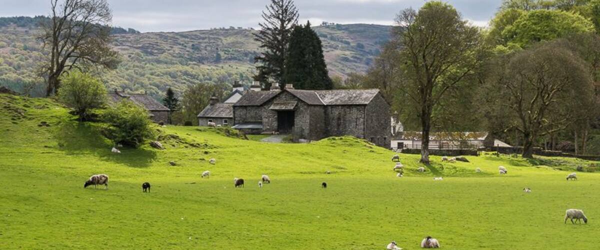A green field with sheep grazing, a stone building, and trees in a rural landscape.