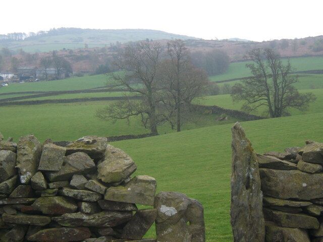 Across the fields to Lowick Green A pleasant walk from the church.