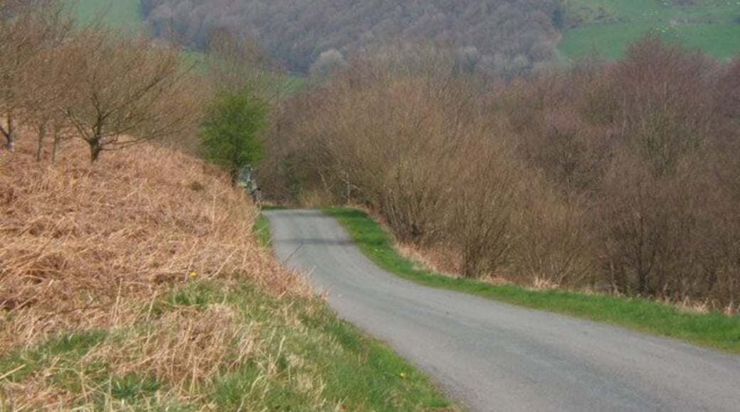 Lane towards Lowick Green On the far hillside Near Plantation and Sayles Farm can be seen, in the next squares to the east and northeast.