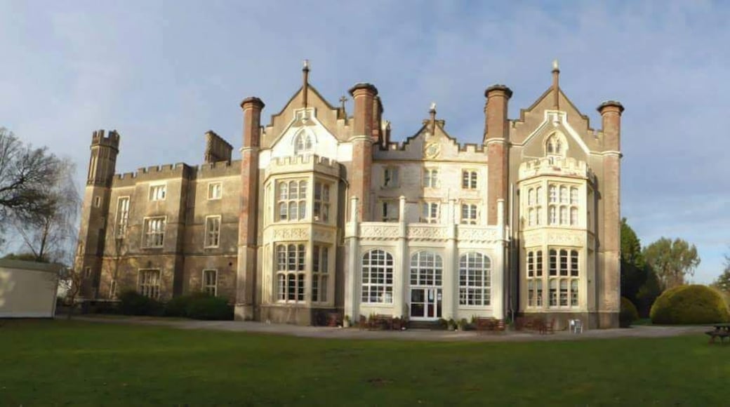 An interesting place to visit as it is a budhist retreat but everyone is welcome to go for the day.A laid back vibe,beautiful grounds to explore including the beach,a big golden buddha and a comfy pet friendly cafe.