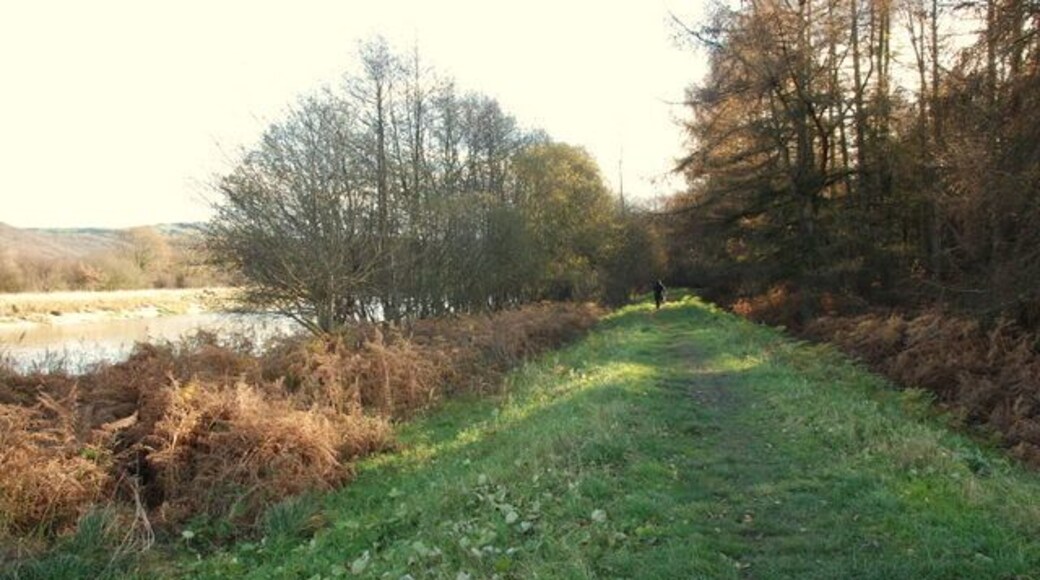 The edge of Roudsea Wood This footpath runs along a raised river embankment at the edge of the woodland.