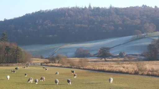 Pasture by Rusland Pool