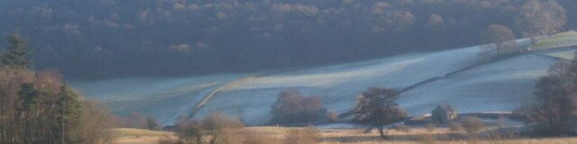 Pasture by Rusland Pool