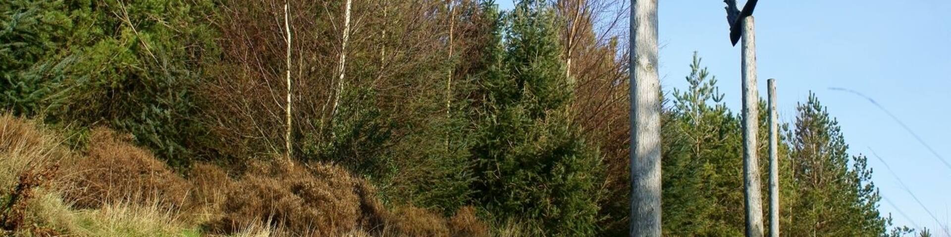 Wind Thrust, Sculpture by Jony Easterby