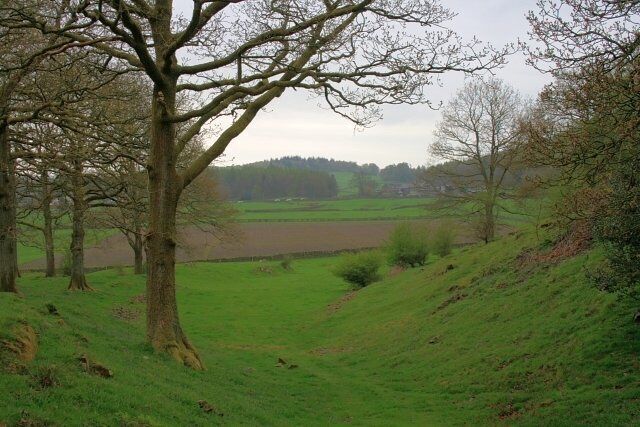 Re-entrant Near Burn Knott Looking south towards Bouth.