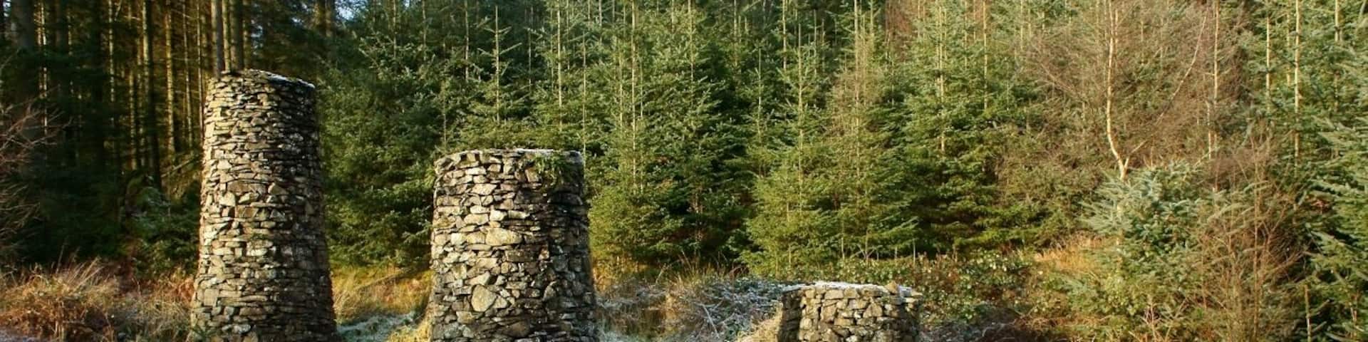 Stone Forest, Sculpture by Kimio Tsuchiya