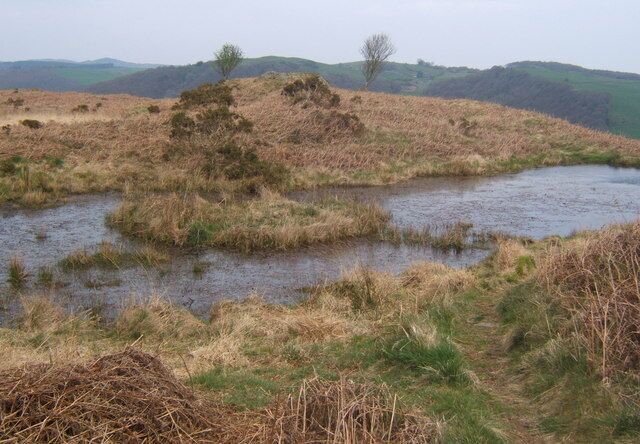Little tarn on Lowick Common Shown on the 1:25,000 map.