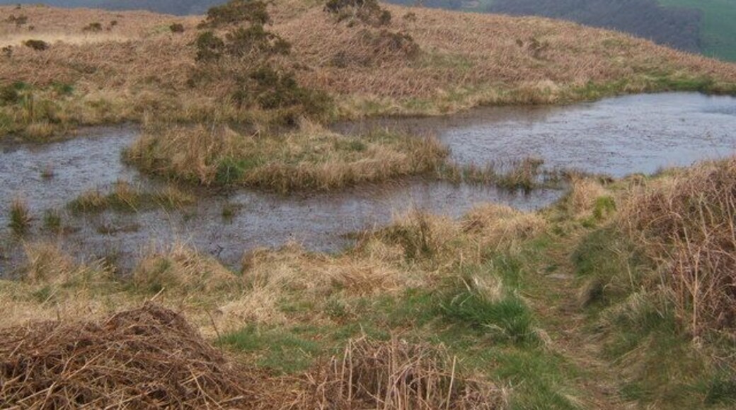 Little tarn on Lowick Common Shown on the 1:25,000 map.
