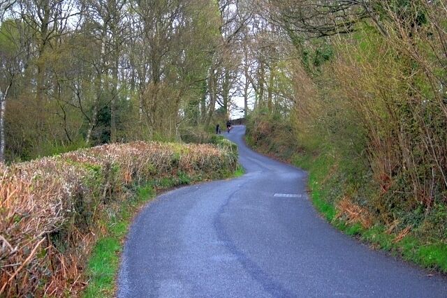 Road Through Quakers' Wood Heading to Force Forge.