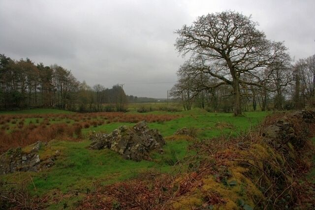 Rocky Outcrop in Field Typical Lakeland rough pasture.