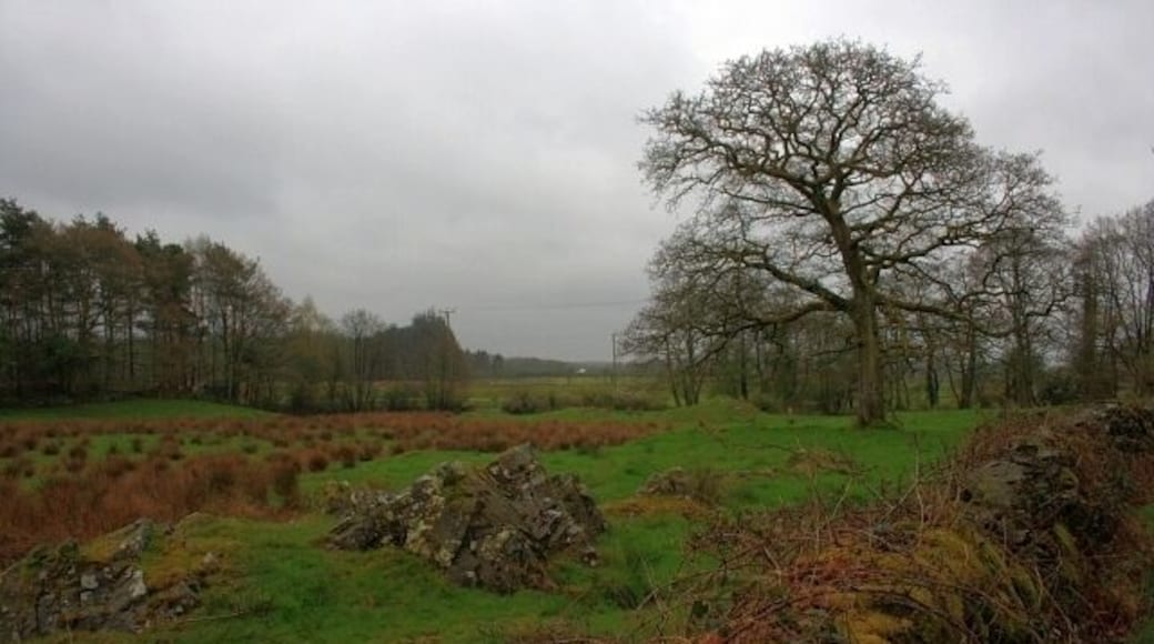 Rocky Outcrop in Field Typical Lakeland rough pasture.