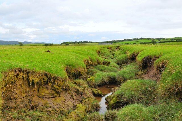 Field stream near Plumpton Typical stream through a field not far from the coast North of Plumpton.