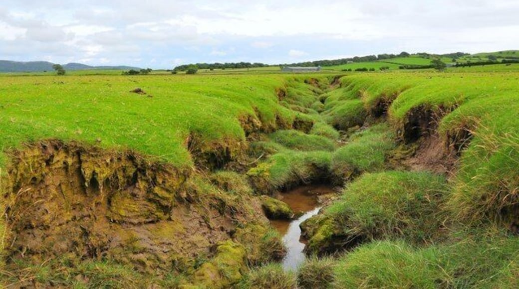Field stream near Plumpton Typical stream through a field not far from the coast North of Plumpton.
