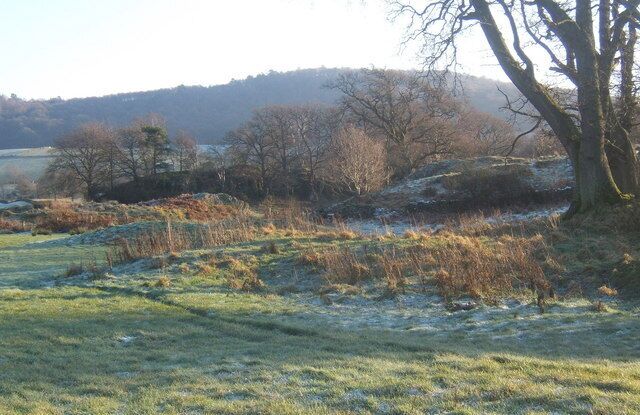 Field by Rusland Pool