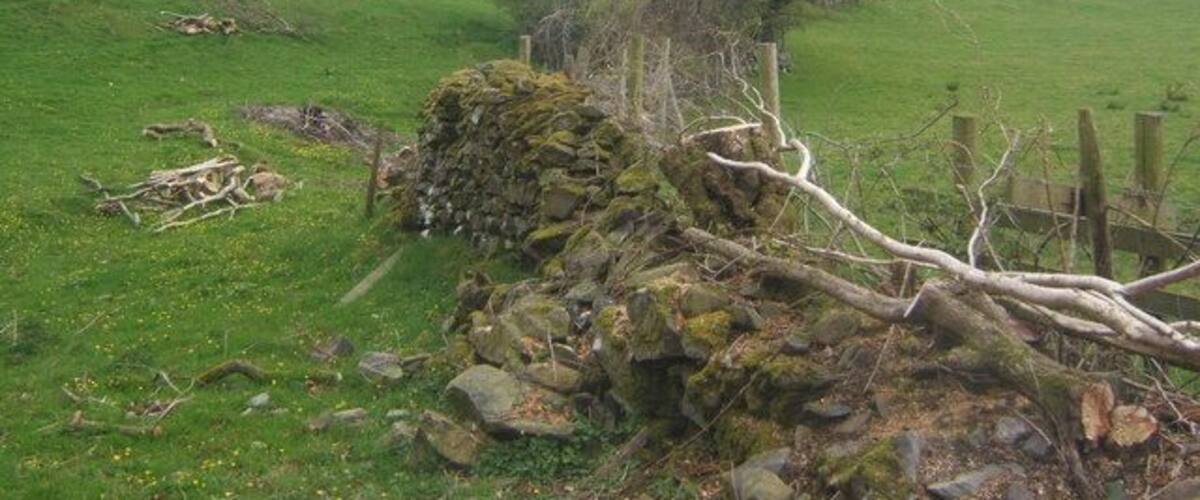 A rural landscape with a stone wall, a fallen tree, and a grassy field.