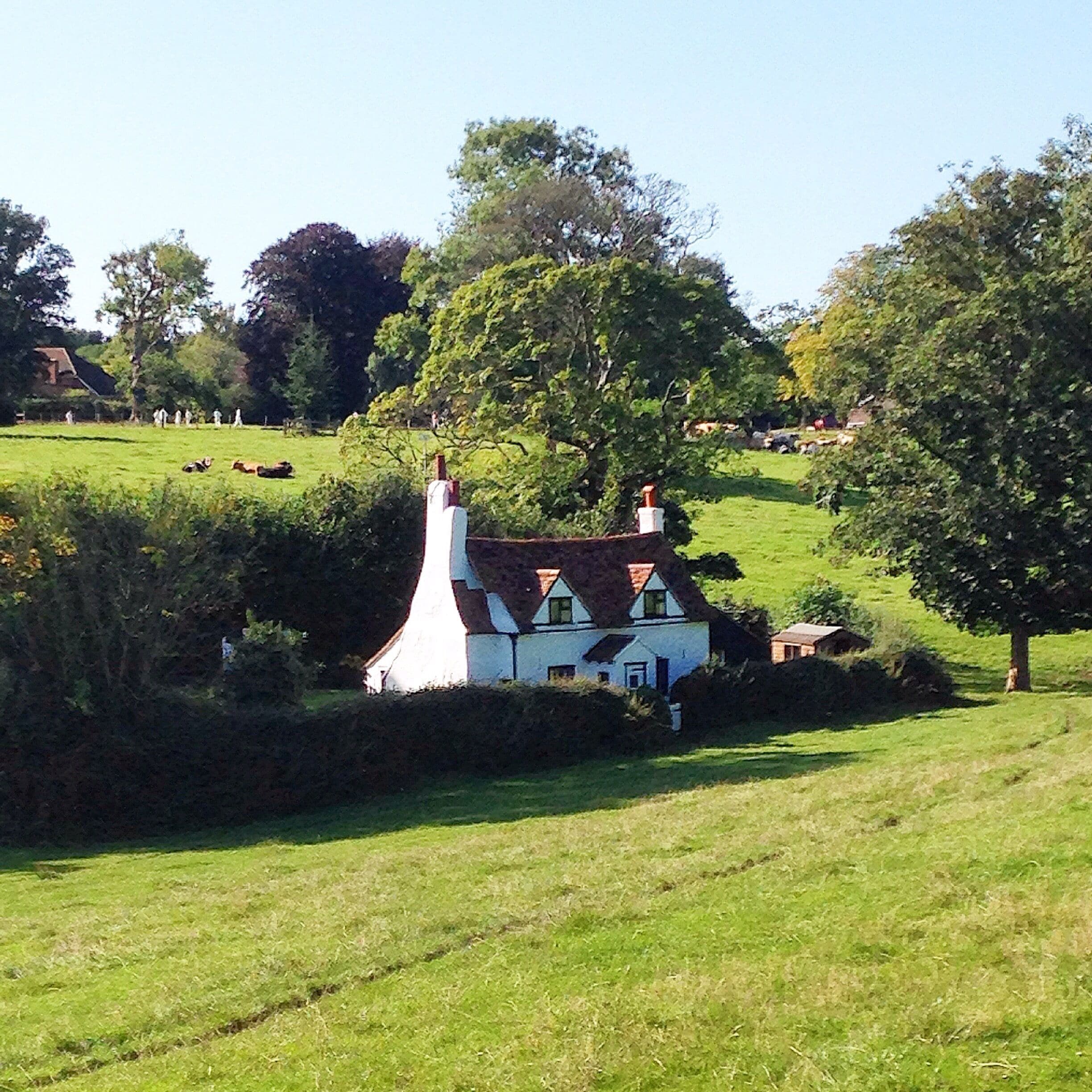 Lee common is a tiny village hidden in the chilterns hills. We came across this typical English scene of cottage, cows and cricket. The house itself is not connected by any road! 
