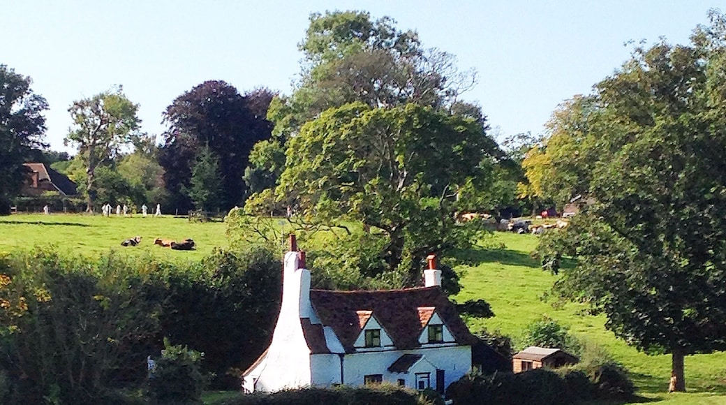 Lee common is a tiny village hidden in the chilterns hills. We came across this typical English scene of cottage, cows and cricket. The house itself is not connected by any road!