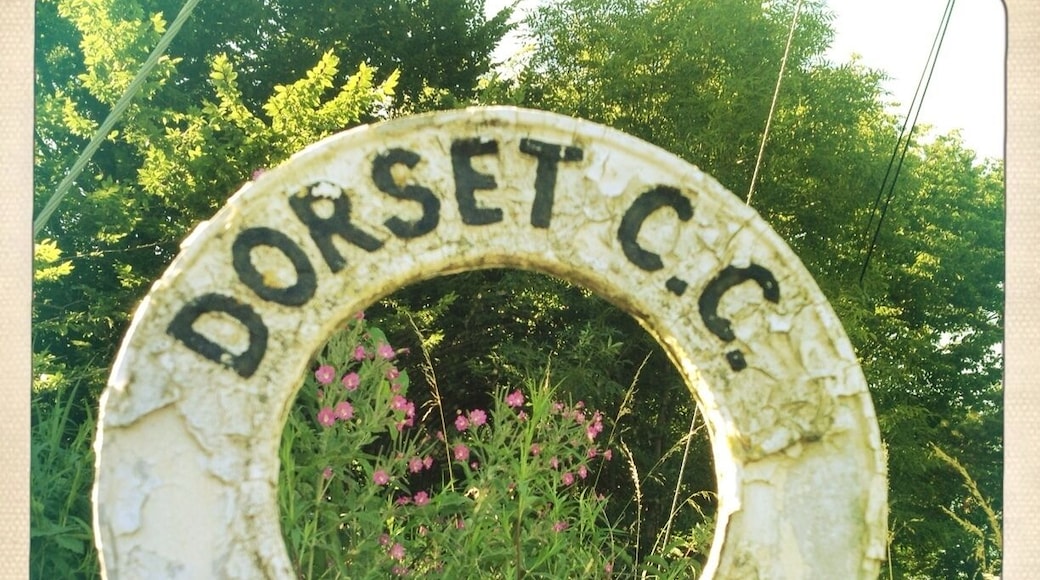 Close up of the top of an old Dorset County Council signpost