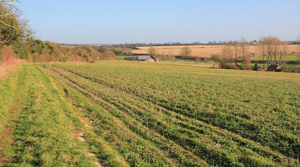 Wayfarer's Walk above Totford Approaching Totford Farm (in distance) with Totford Pumping Station at right. The B3046 runs along the hedge line beyond these two buildings.