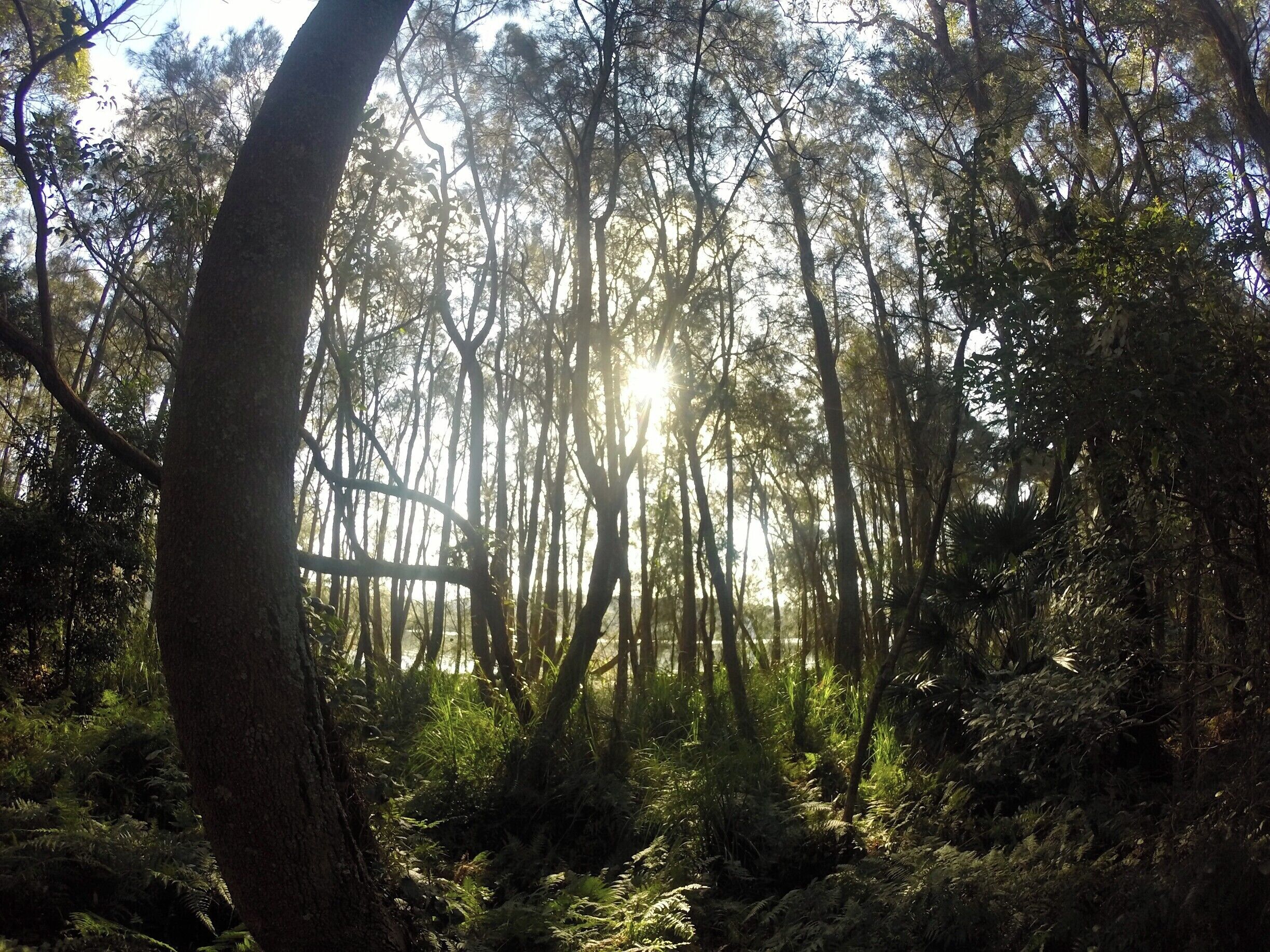 stunning walk, definitely a must do. 9km around the lake. 