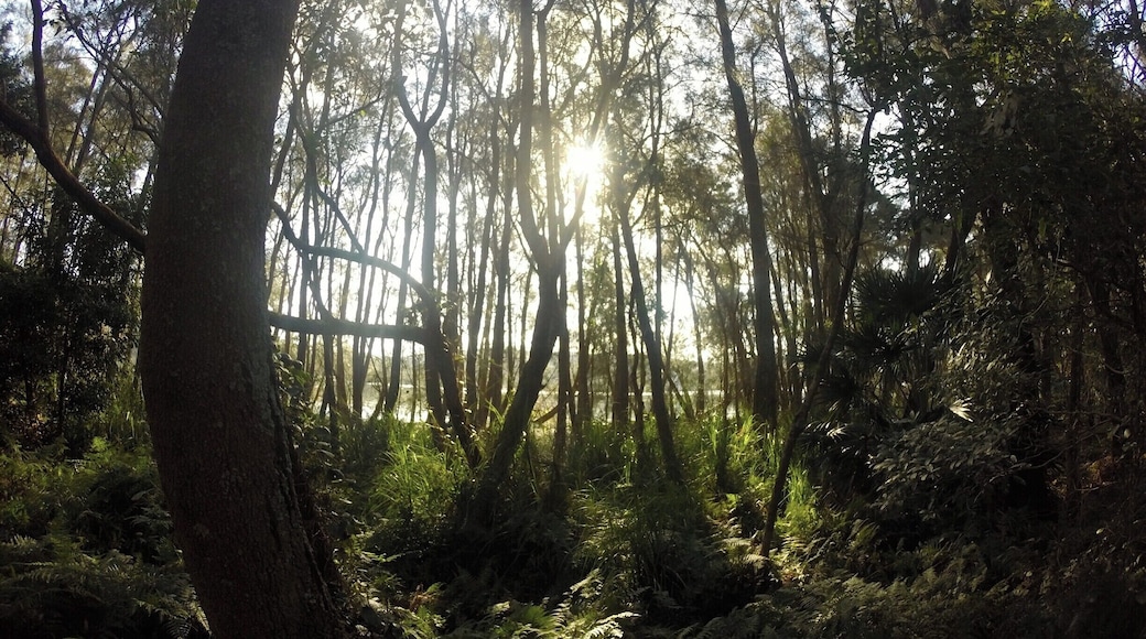 stunning walk, definitely a must do. 9km around the lake.