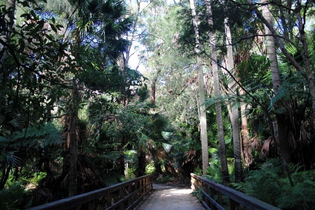 Narrabeen Lagoon is like a whole other world. what a hidden gem. A 9 kilometer walk - post up on my blog about my recent walk there. 