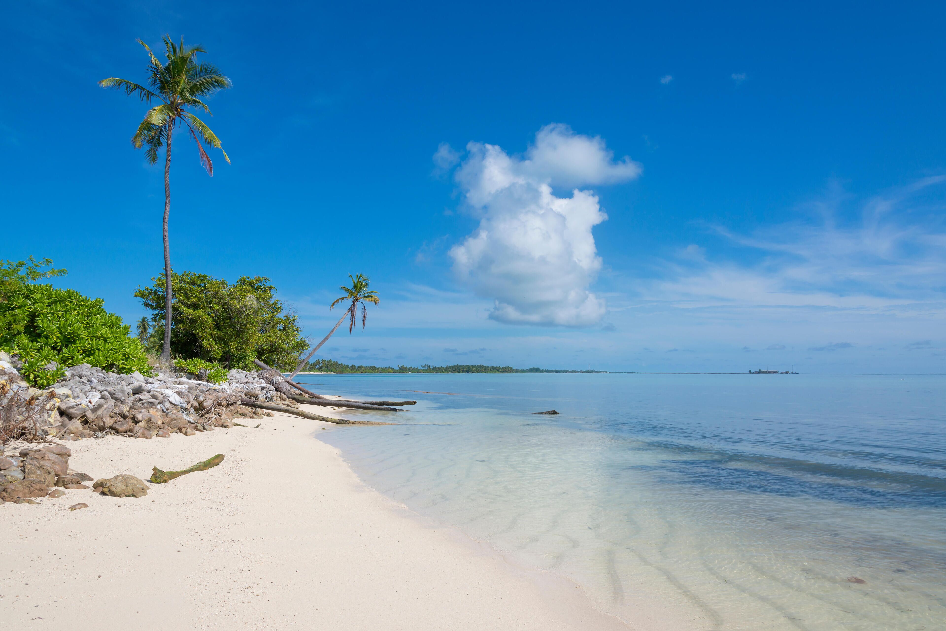 A beach with clear turquoise water, white sand, and palm trees.