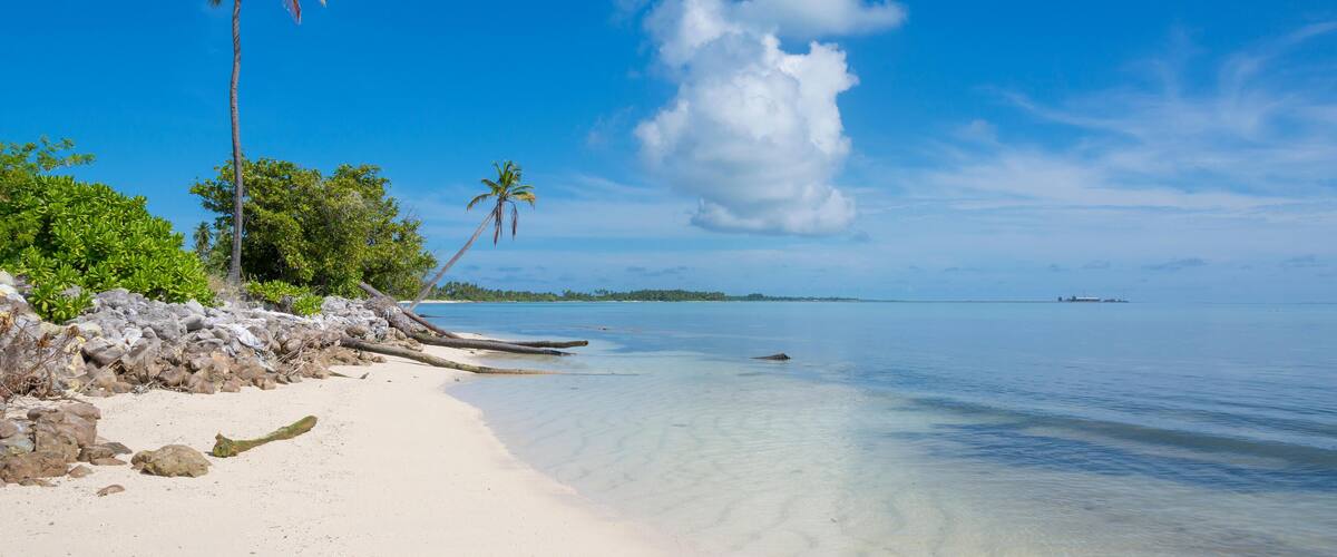 A beach with clear turquoise water, white sand, and palm trees.
