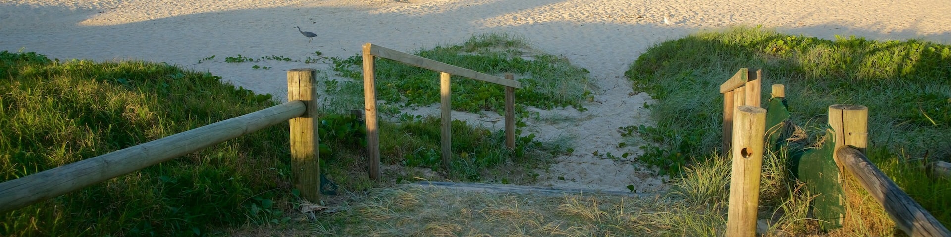 Lennox Head featuring a sandy beach