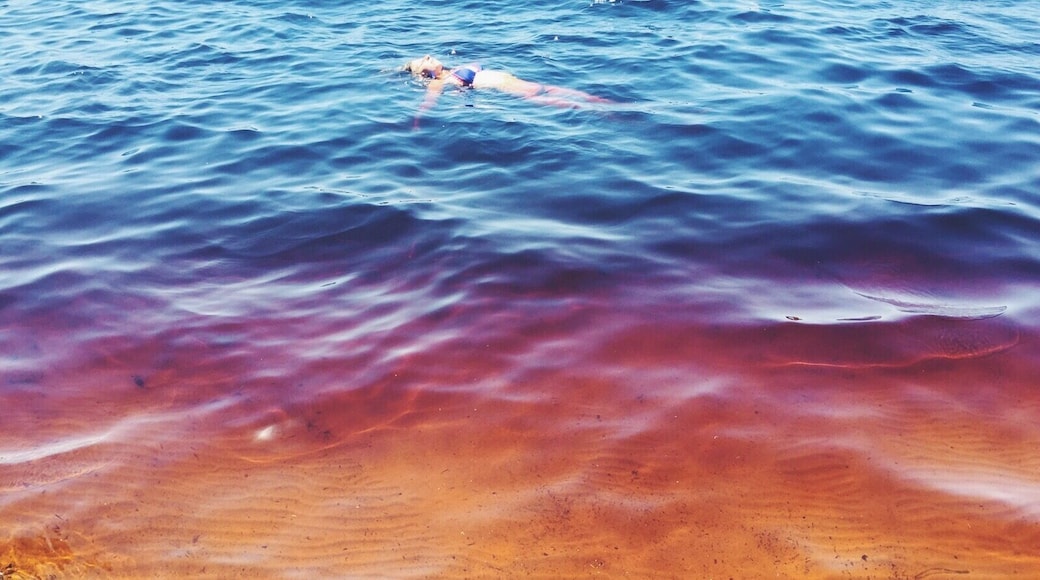 Lake Ainsworth, Lennox Heads, also known as Tea-tree lake, gets its reddish colour from the tea-tree trees surrounding it. One dip left me with smooth hair and skin. #australia #lake