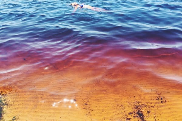 Lake Ainsworth, Lennox Heads, also known as Tea-tree lake, gets its reddish colour from the tea-tree trees surrounding it. One dip left me with smooth hair and skin. #australia #lake