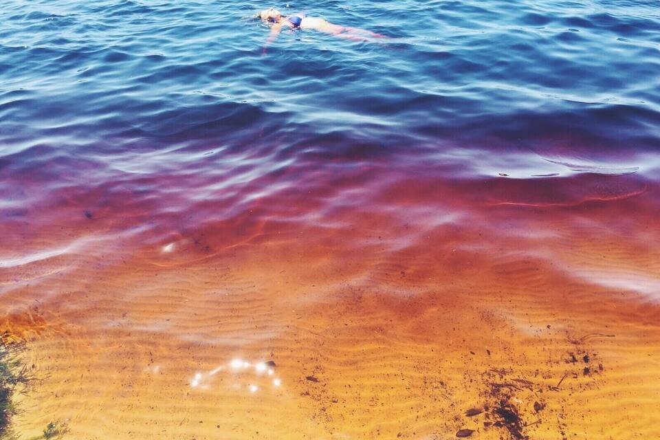 Nadador en el agua, con una playa al frente.