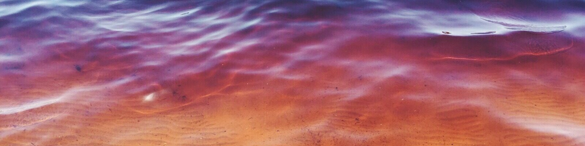 Lake Ainsworth, Lennox Heads, also known as Tea-tree lake, gets its reddish colour from the tea-tree trees surrounding it. One dip left me with smooth hair and skin. #australia #lake