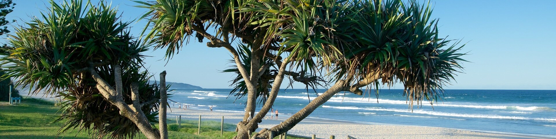 Lennox Head mostrando uma praia de areia