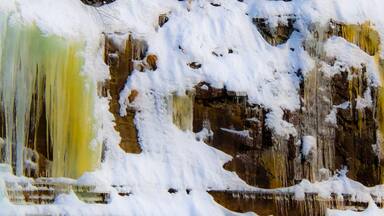 Wall of ice in a Canadian forest in Quebec