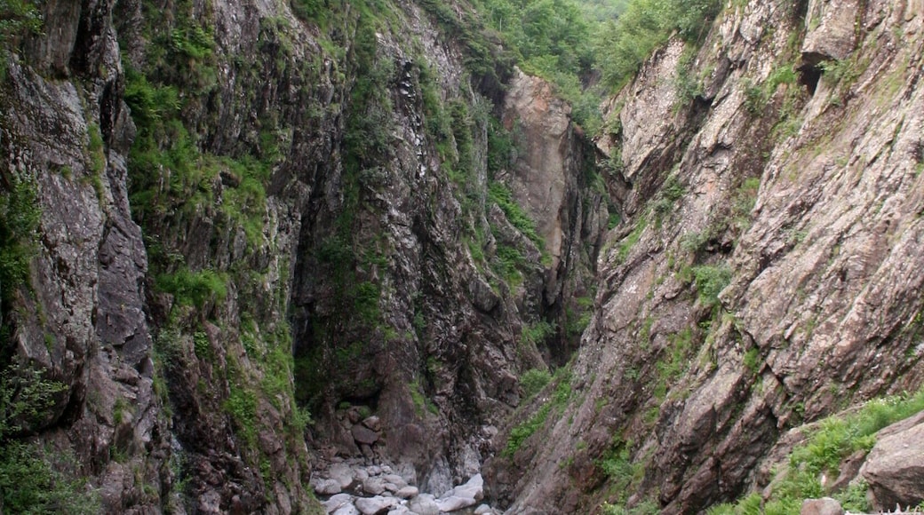 Les gorges de la Diosaz en aval du barrage de la Bajulaz.