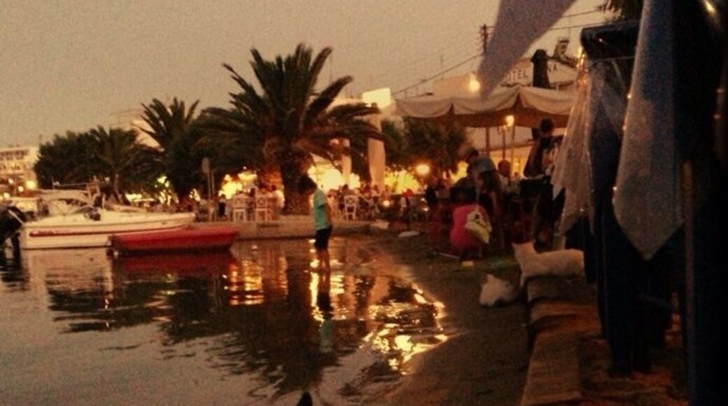 How close to the sea can you have your dinner?