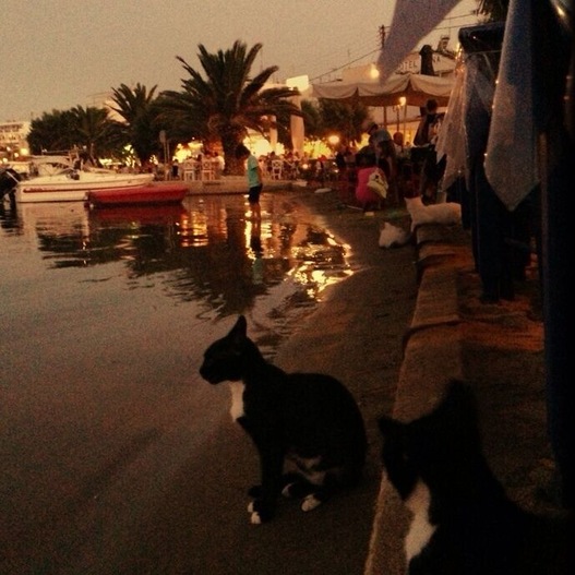 How close to the sea can you have your dinner?